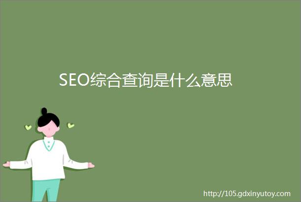 SEO综合查询是什么意思